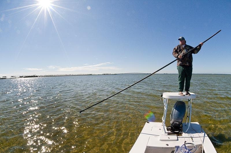 Tampa Tarpon Fishing