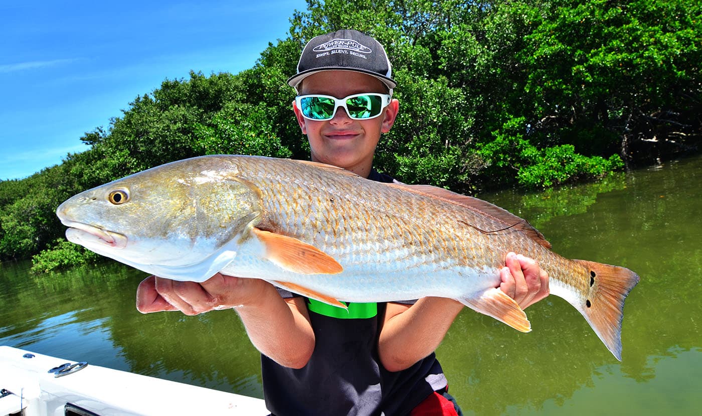 Overview: Tampa Fishing