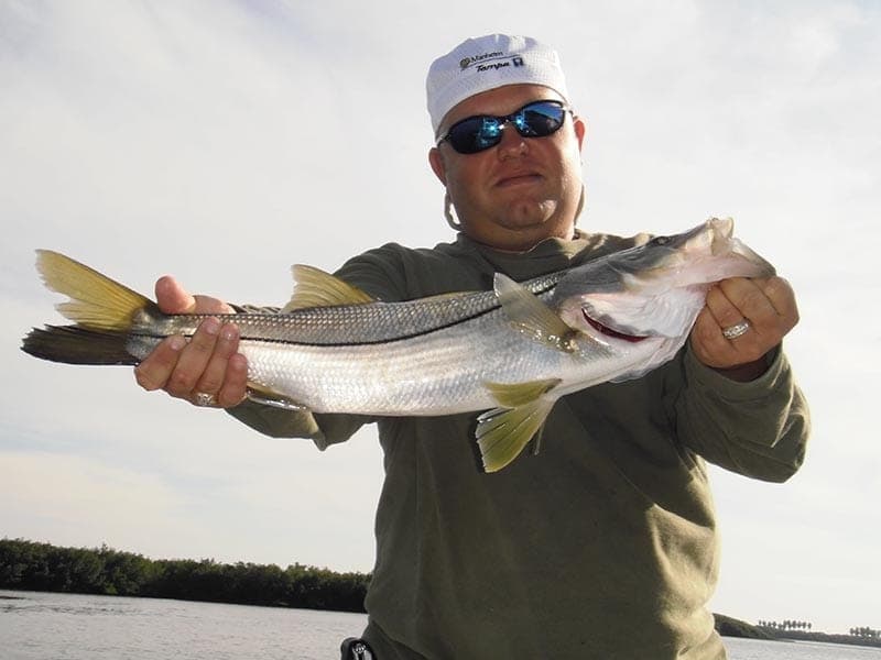 Tampa Spring Snook Fishing is On