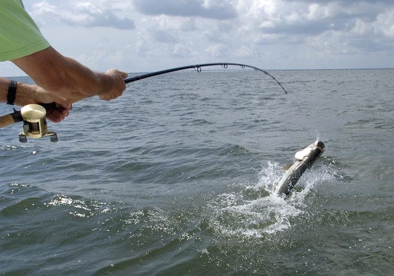Nature Coast Fishing